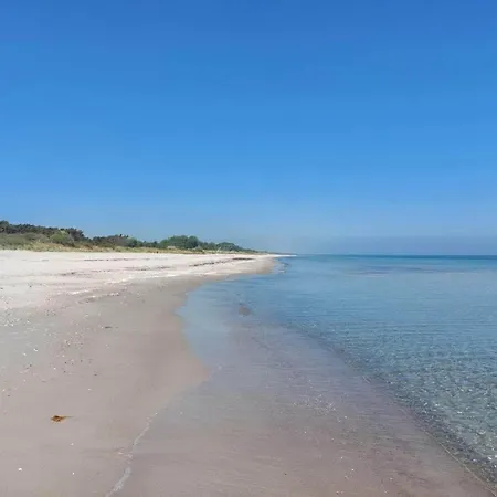 6 Person In Vaeggerlose-by Traum